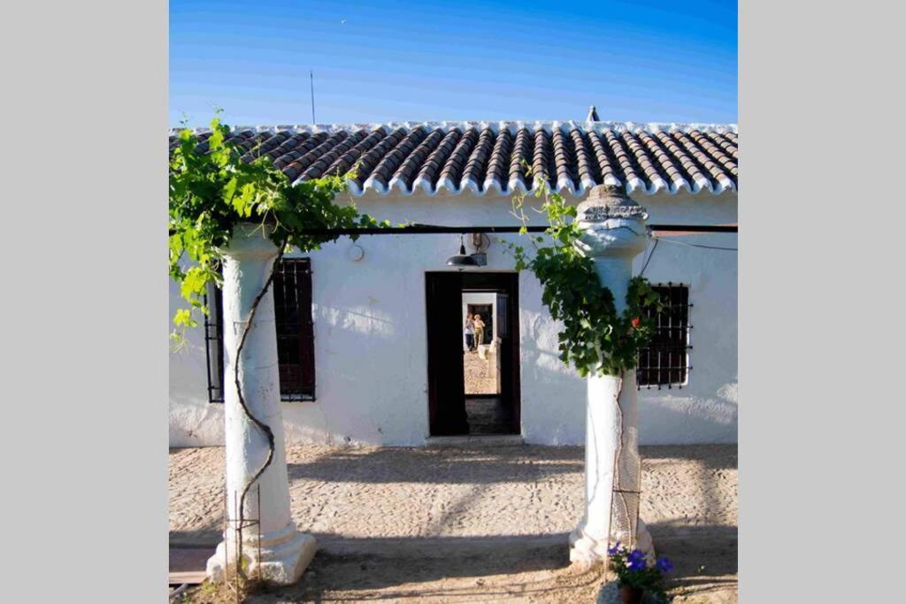 시우다드레알 Casa El Carmen 빌라 외부 사진
