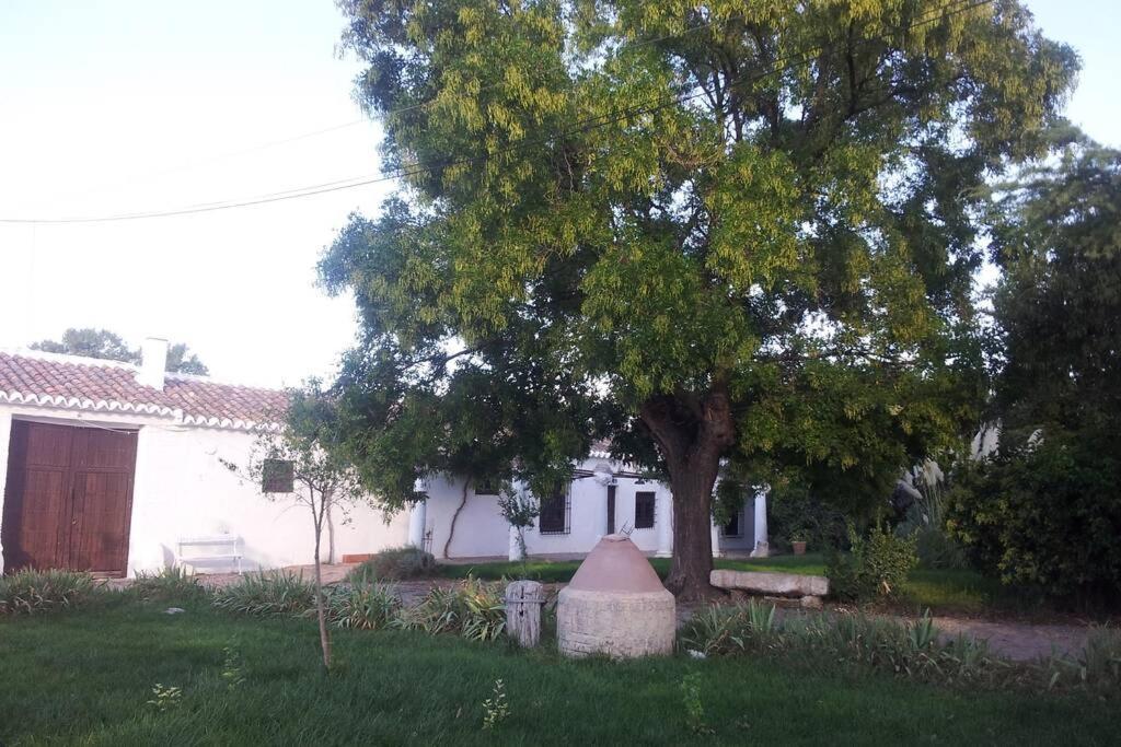 시우다드레알 Casa El Carmen 빌라 외부 사진